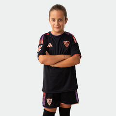 Tercera equipación