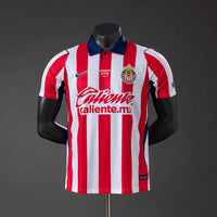 Player Version