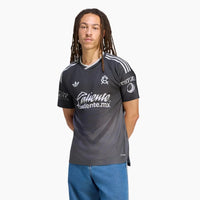 Versión Jugador