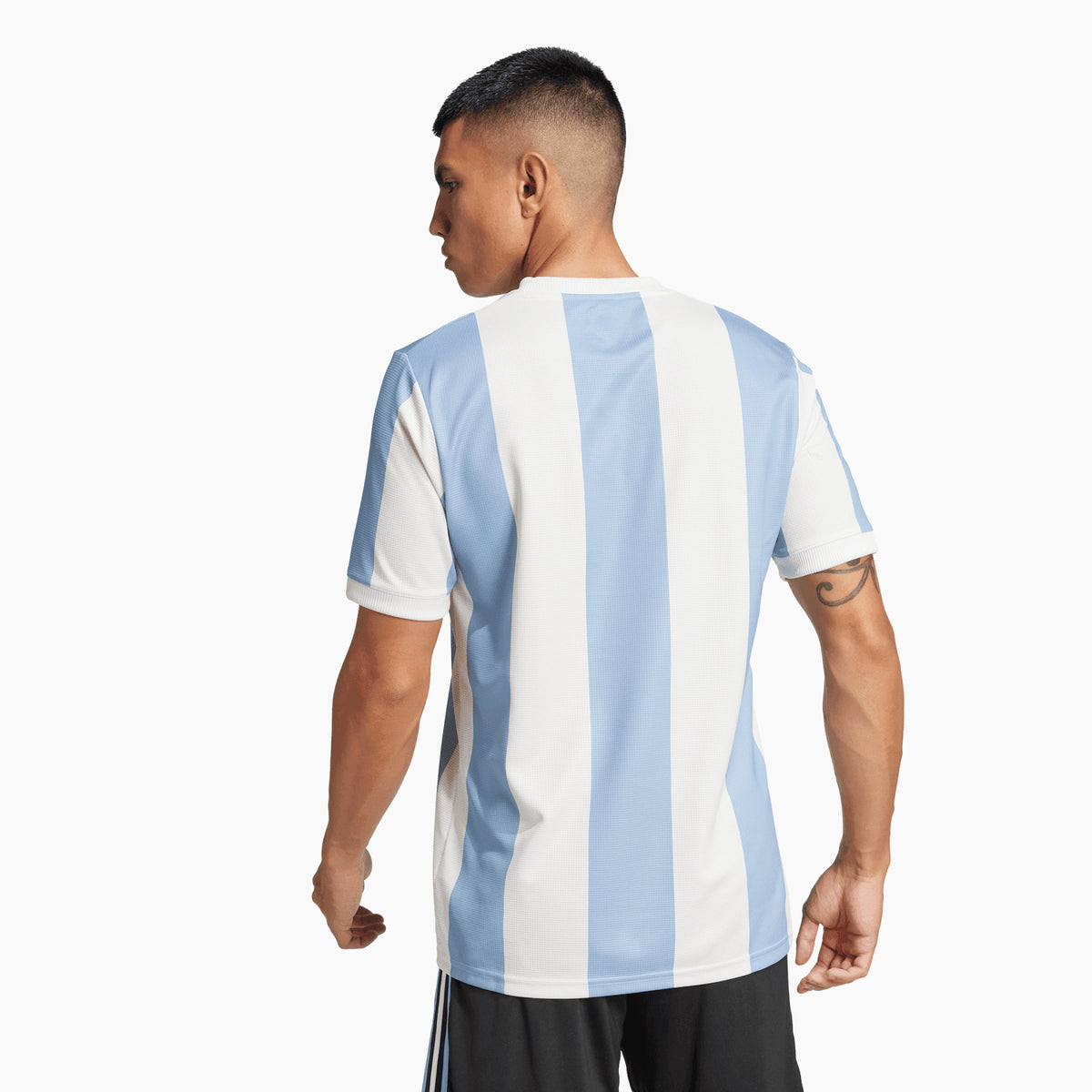 Argentina jersey 2024 anniversary - back on model