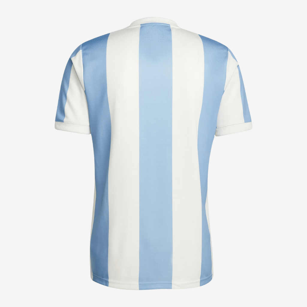 Argentina Jersey 2024 Anniversary — view 2
