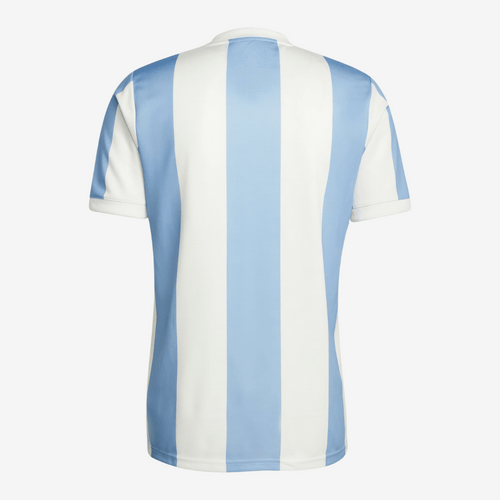 Argentina Jersey 2024 Anniversary — view 2