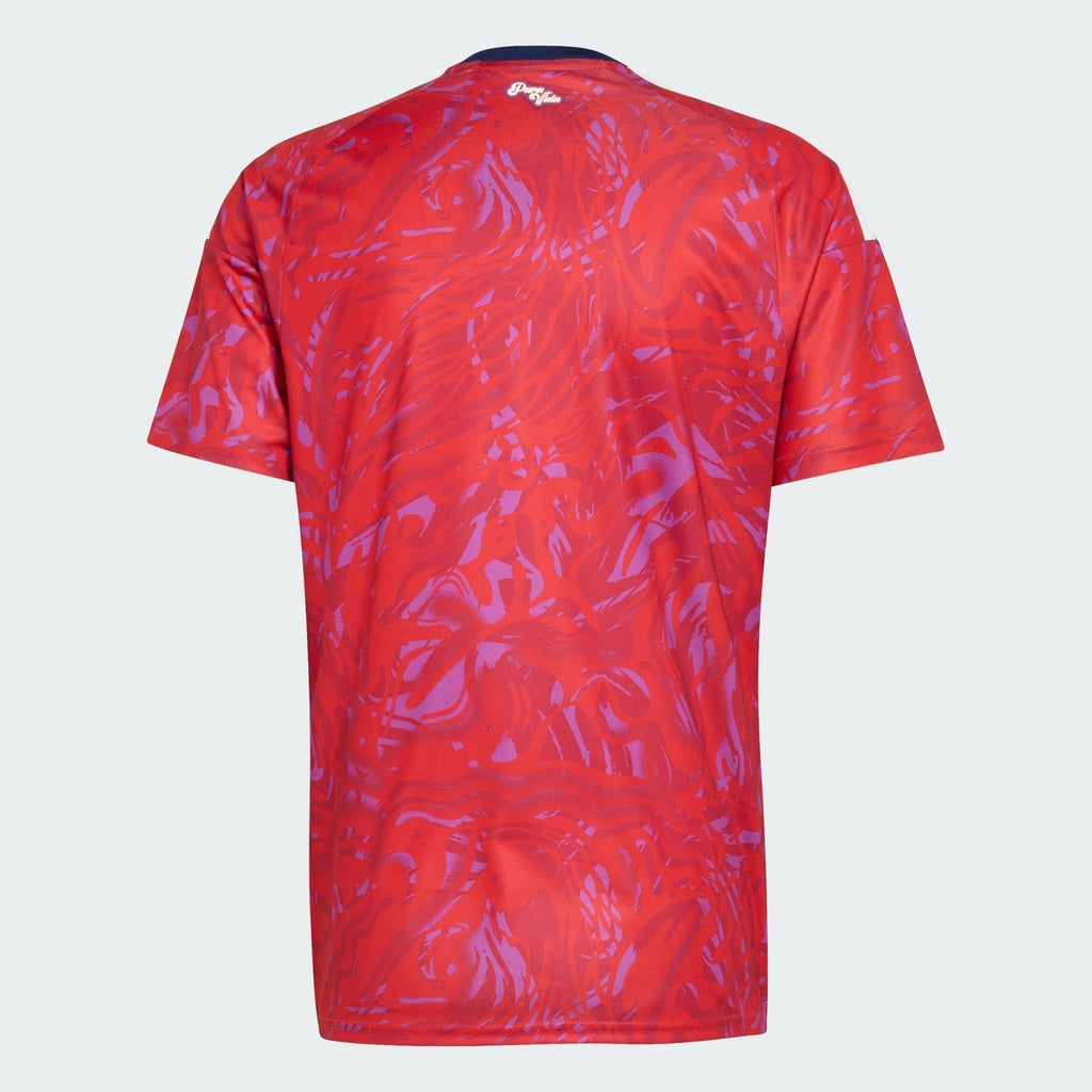 Camiseta Primera Equipación Mundial 2026 Costa Rica — Vista 4