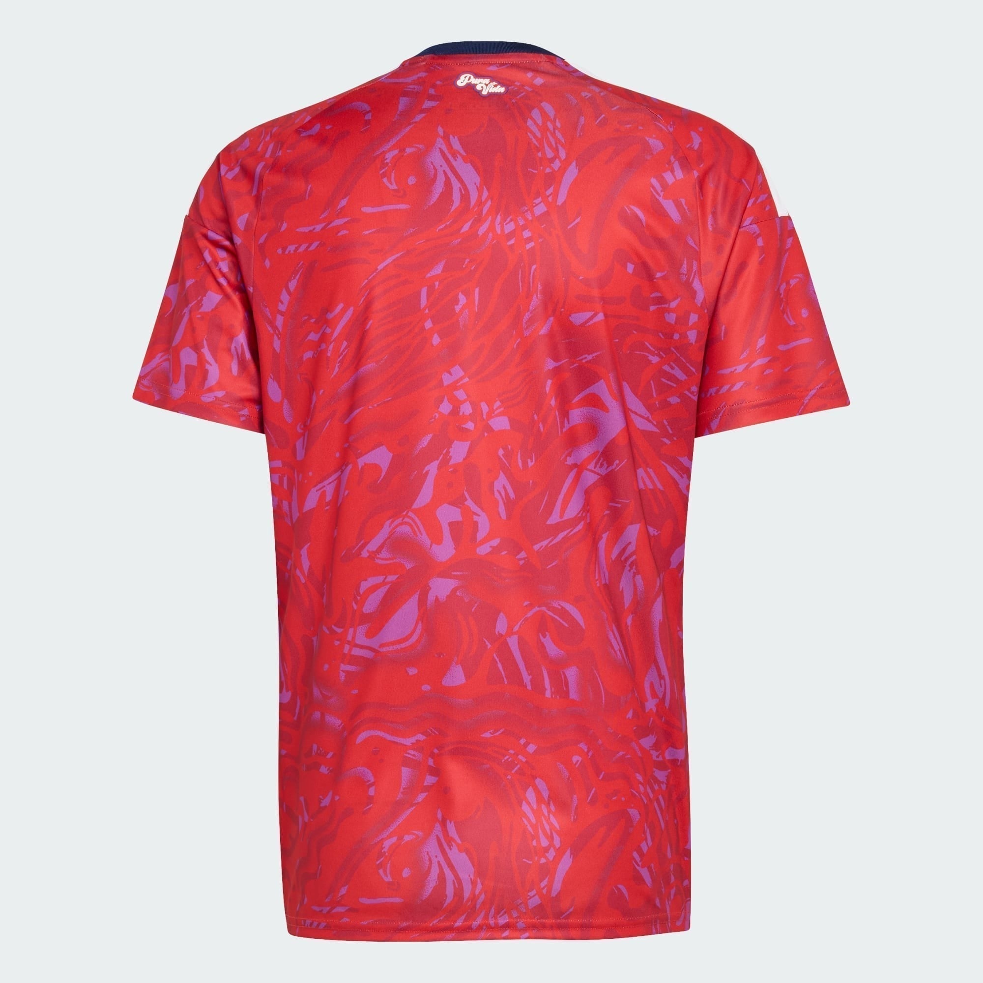 Camiseta Primera Equipación Mundial 2026 Costa Rica — Vista 4