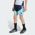 Argentina Kids Training Shorts 2026