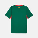 Camiseta Segunda Equipación Mundial 2026 Senegal — Vista 6