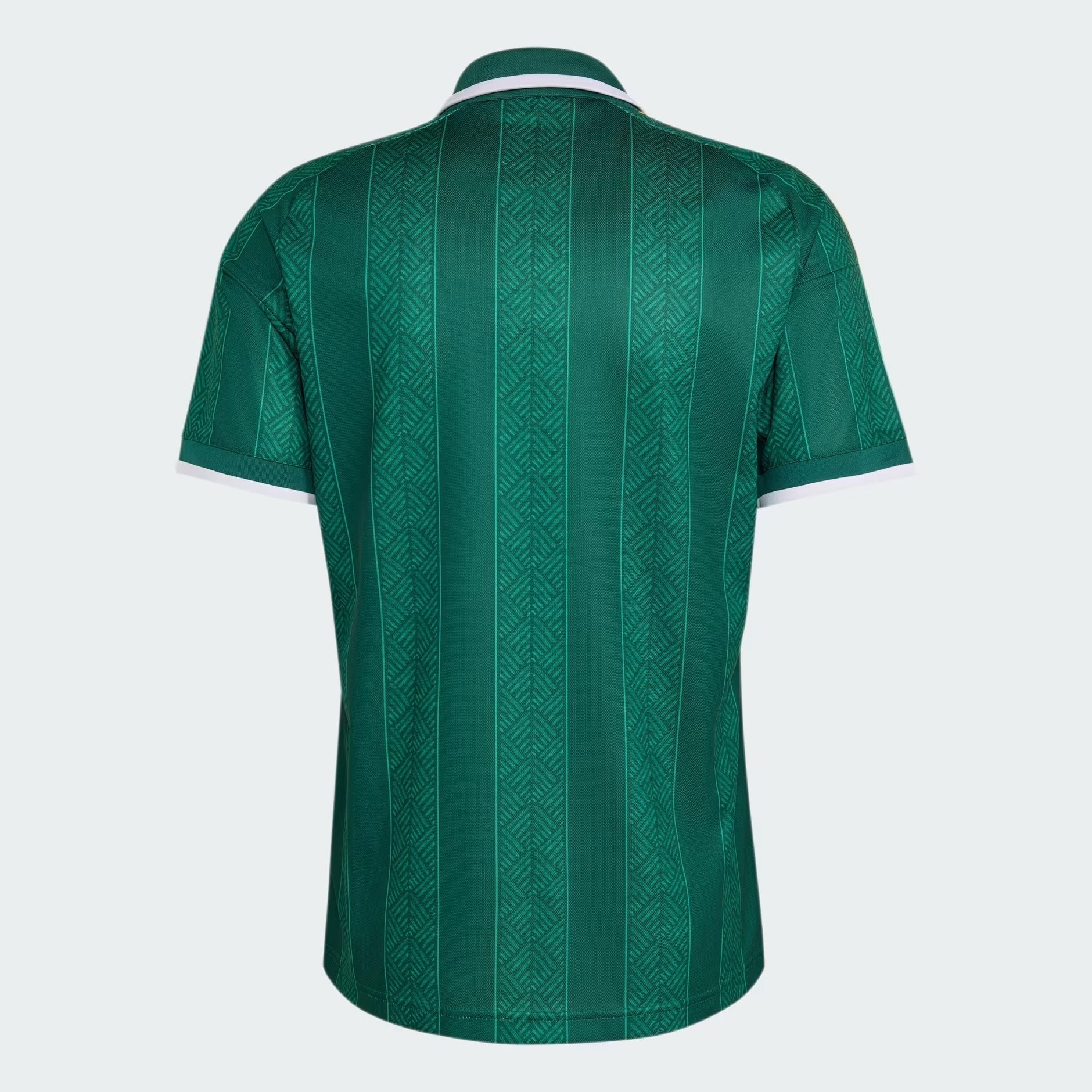 Camiseta Primera Equipación Mundial 2026 Sudáfrica — Vista 6
