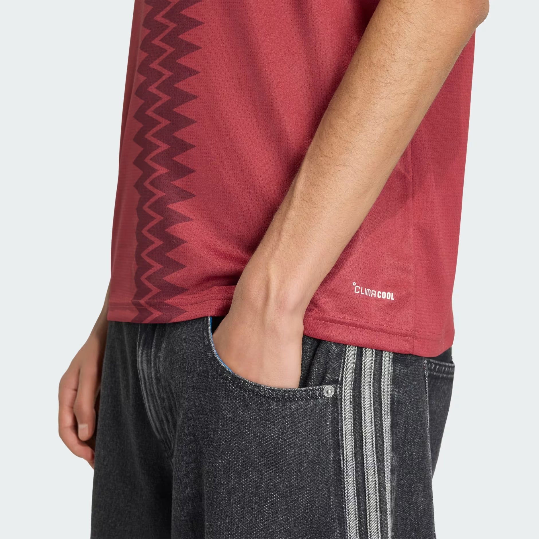 Camiseta Primera Equipación Mundial 2026 Catar — Vista 5