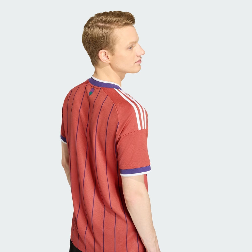 Camiseta Segunda Equipación Mundial 2026 Escocia — Vista 7