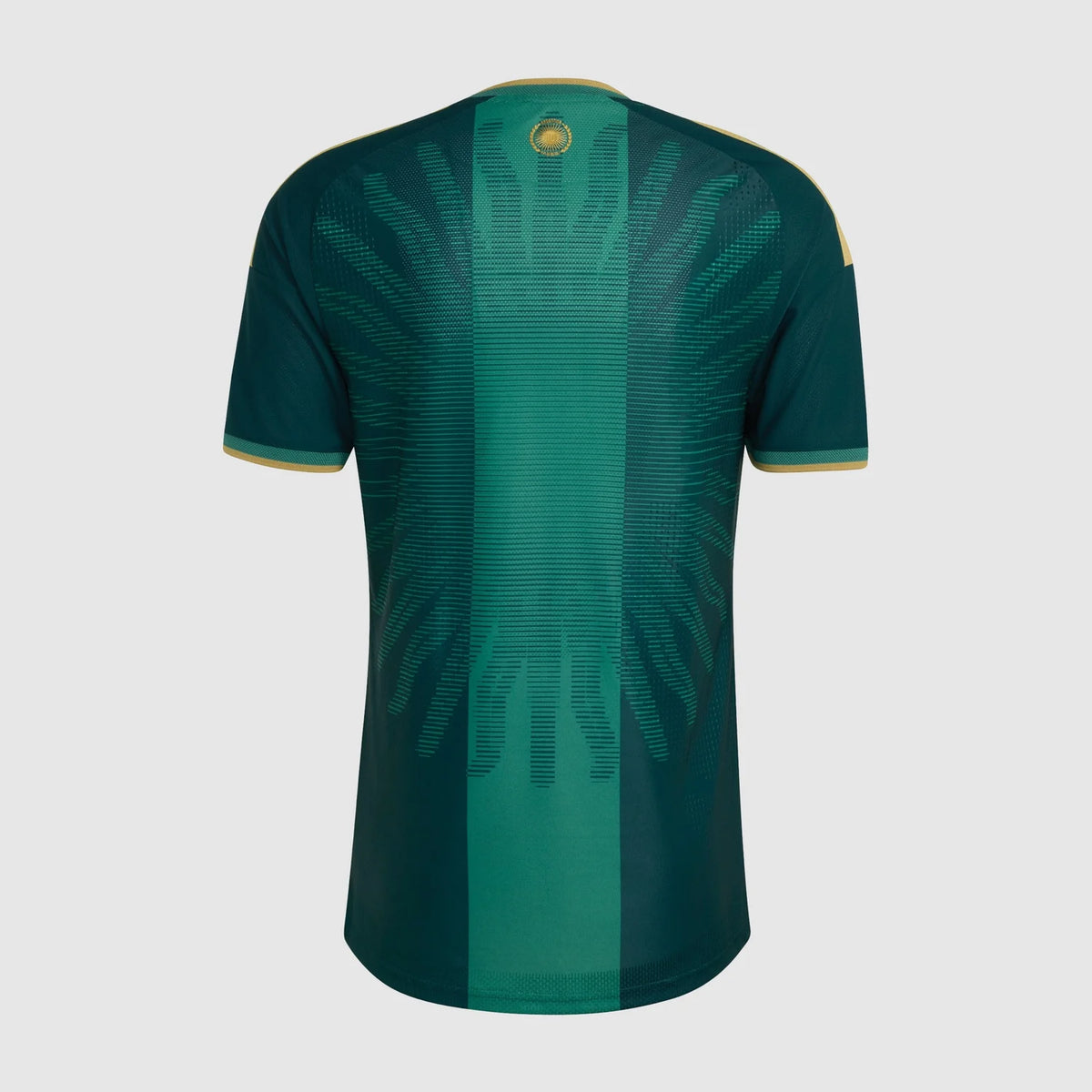 Camiseta Versión Jugador Argentina Messi 26 Verde — espalda con MESSI 10 (personalización gratis)