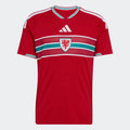 Camiseta Primera Equipación Mundial 2026 Gales