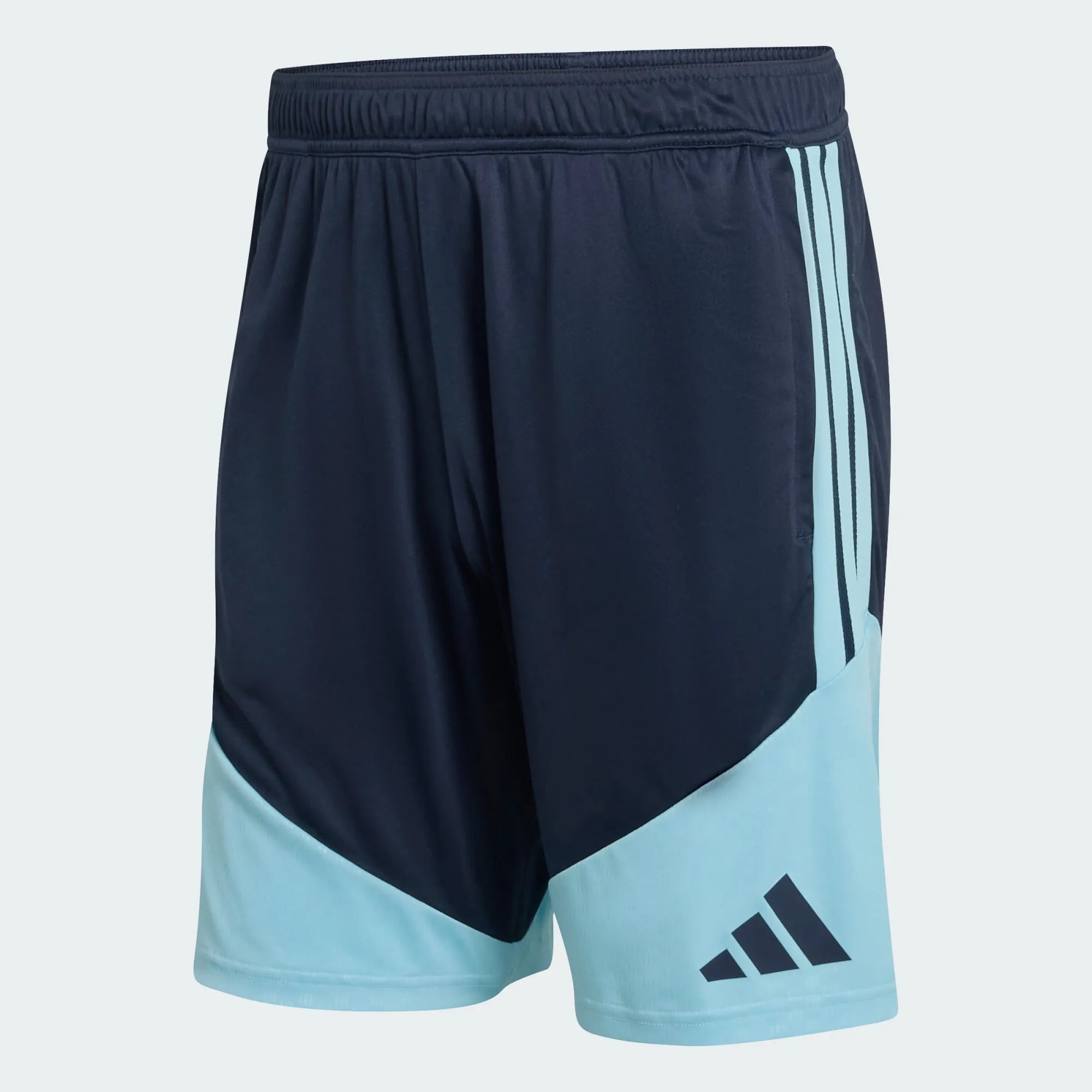 Argentina Shorts 2026